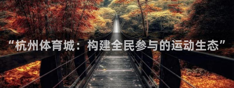 熊猫体育直播