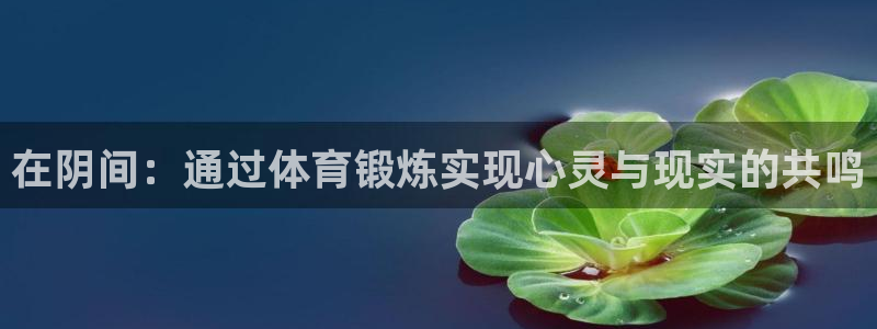 熊猫体育v3.新网页.org：在阴间：通过体育锻炼实现心灵与现实的共鸣