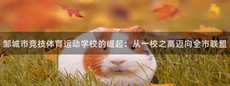 熊猫体育手机版下载：邹城市竞技体育运动学校的崛起：从一校之高迈向全市联盟
