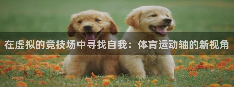 熊猫体育app官方入口：在虚拟的竞技场中寻找自我：体育运动轴的新视角