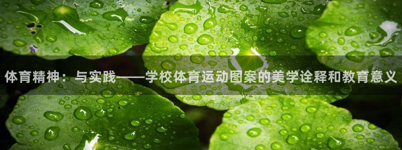 成都金熊猫体育：体育精神：与实践——学校体育运动图案的美学诠释和教育意义