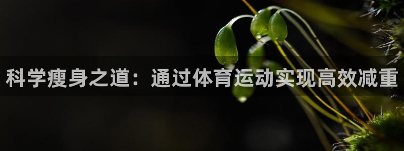 熊猫体育直播：科学瘦身之道：通过体育运动实现高效减重