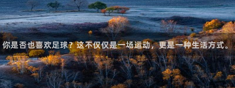 动感熊猫体育公园：你是否也喜欢足球？这不仅仅是一场运动，更是一种生活方式。