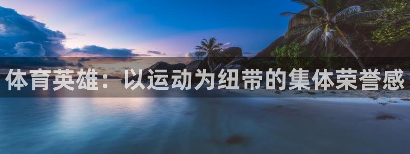 熊猫体育手机版下载：体育英雄：以运动为纽带的集体荣誉感