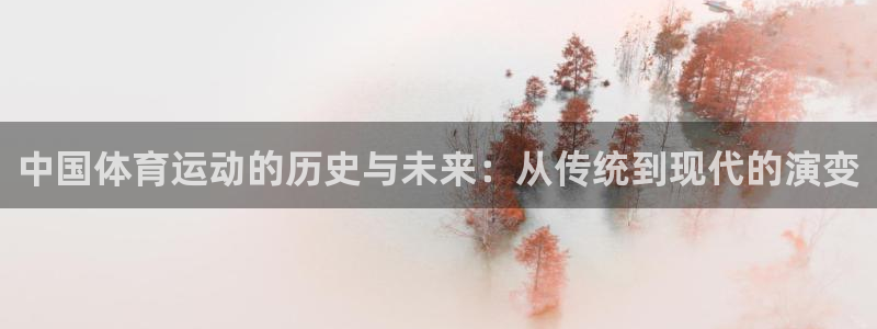 熊猫体育手机版：中国体育运动的历史与未来：从传统到现代的演变