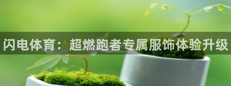 熊猫体育手机版下载：闪电体育：超燃跑者专属服饰体验升级