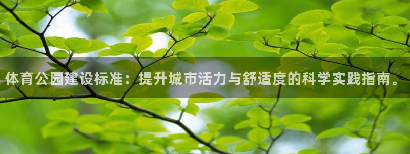 熊猫体育官网：体育公园建设标准：提升城市活力与舒适度的科学实践指南。