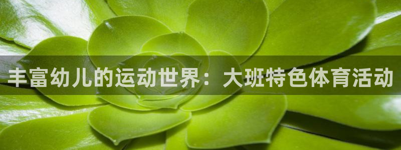 熊猫体育app下载安装：丰富幼儿的运动世界：大班特色体育活动
