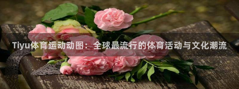 熊猫体育官网首页入口：Tiyu体育运动动图：全球最流行的体育活动与文化潮流