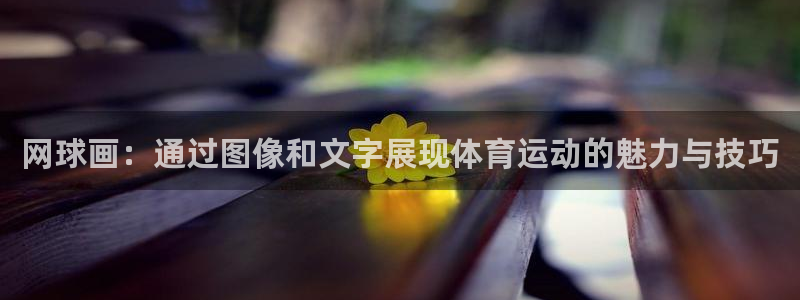 熊猫体育在线观看：网球画：通过图像和文字展现体育运动的魅力与技巧