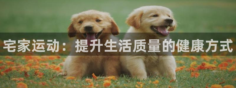 熊猫体育nba：宅家运动：提升生活质量的健康方式